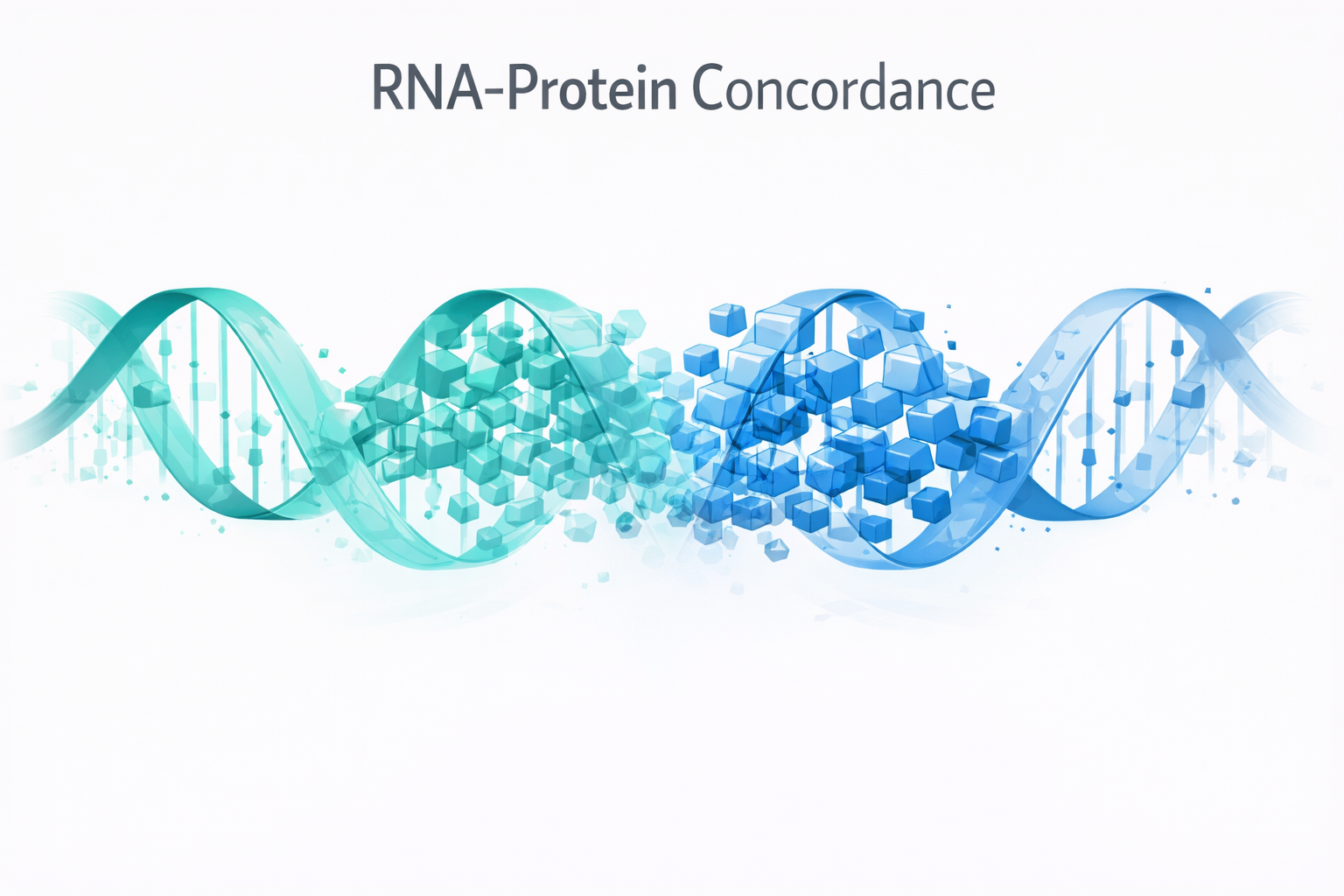 RNA-Protein Concordance in Spatial Profiling: Why Multi-Omics Matters